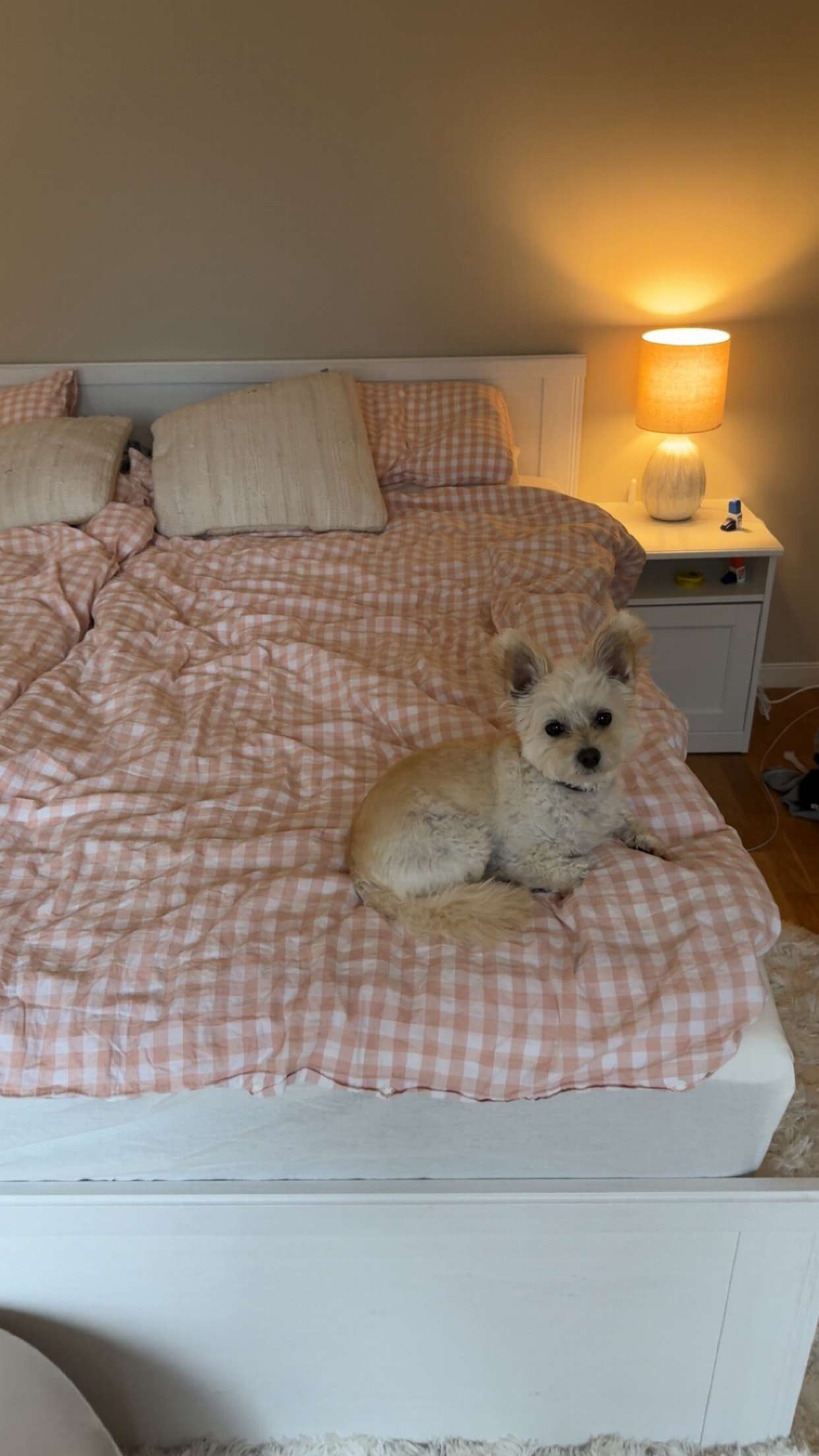 mathilda_bergs snapchat image archive image