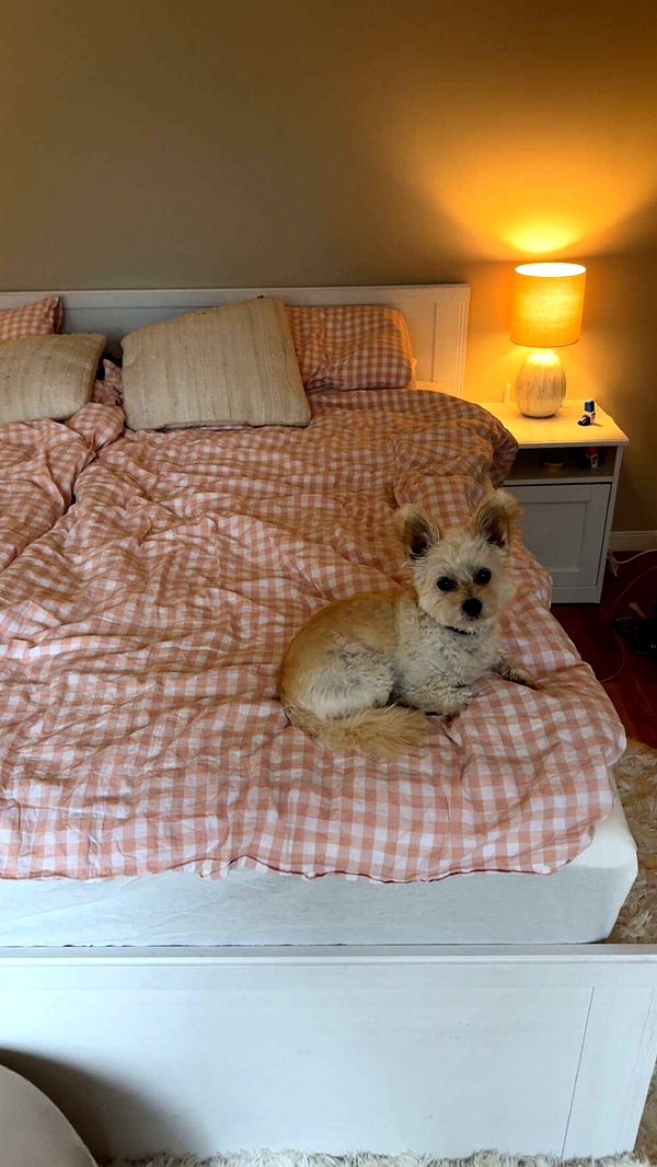 mathilda_bergs image ~ Altpins