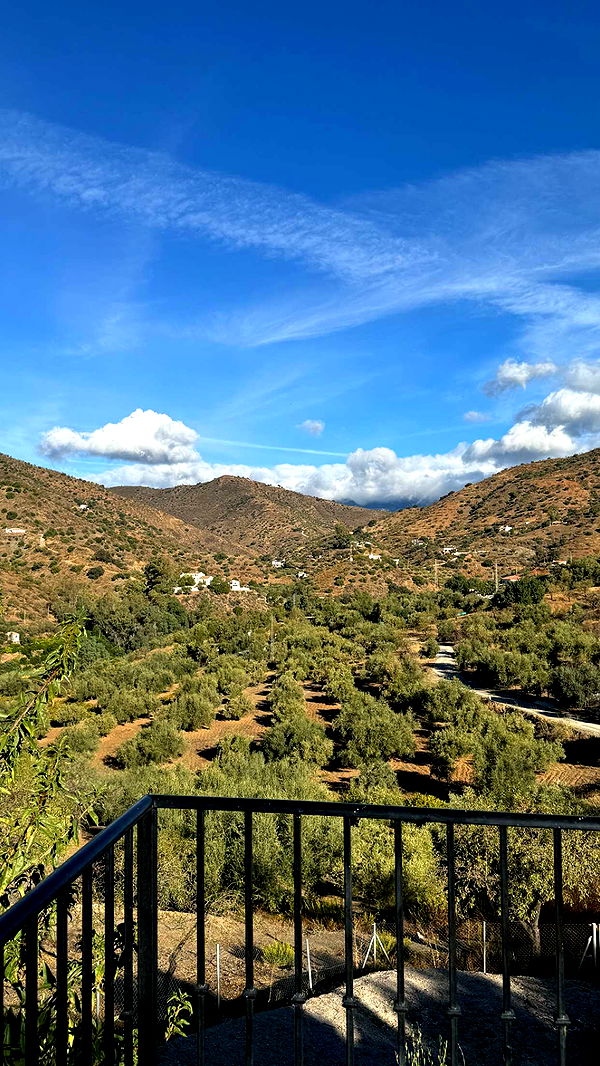 mathilda_bergs image ~ Altpins