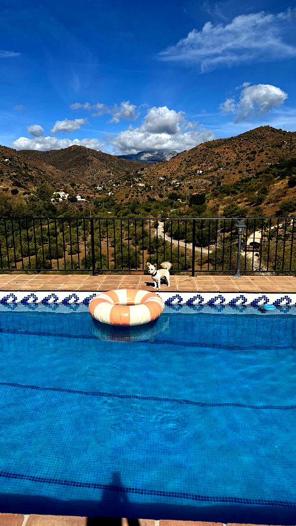 mathilda_bergs image ~ Altpins