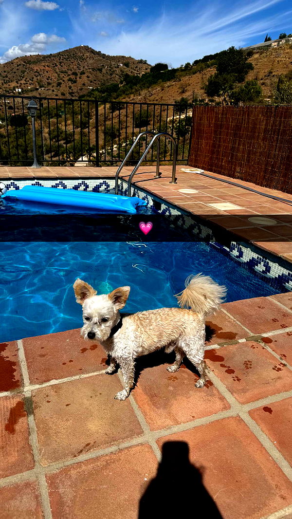 mathilda_bergs image ~ Altpins