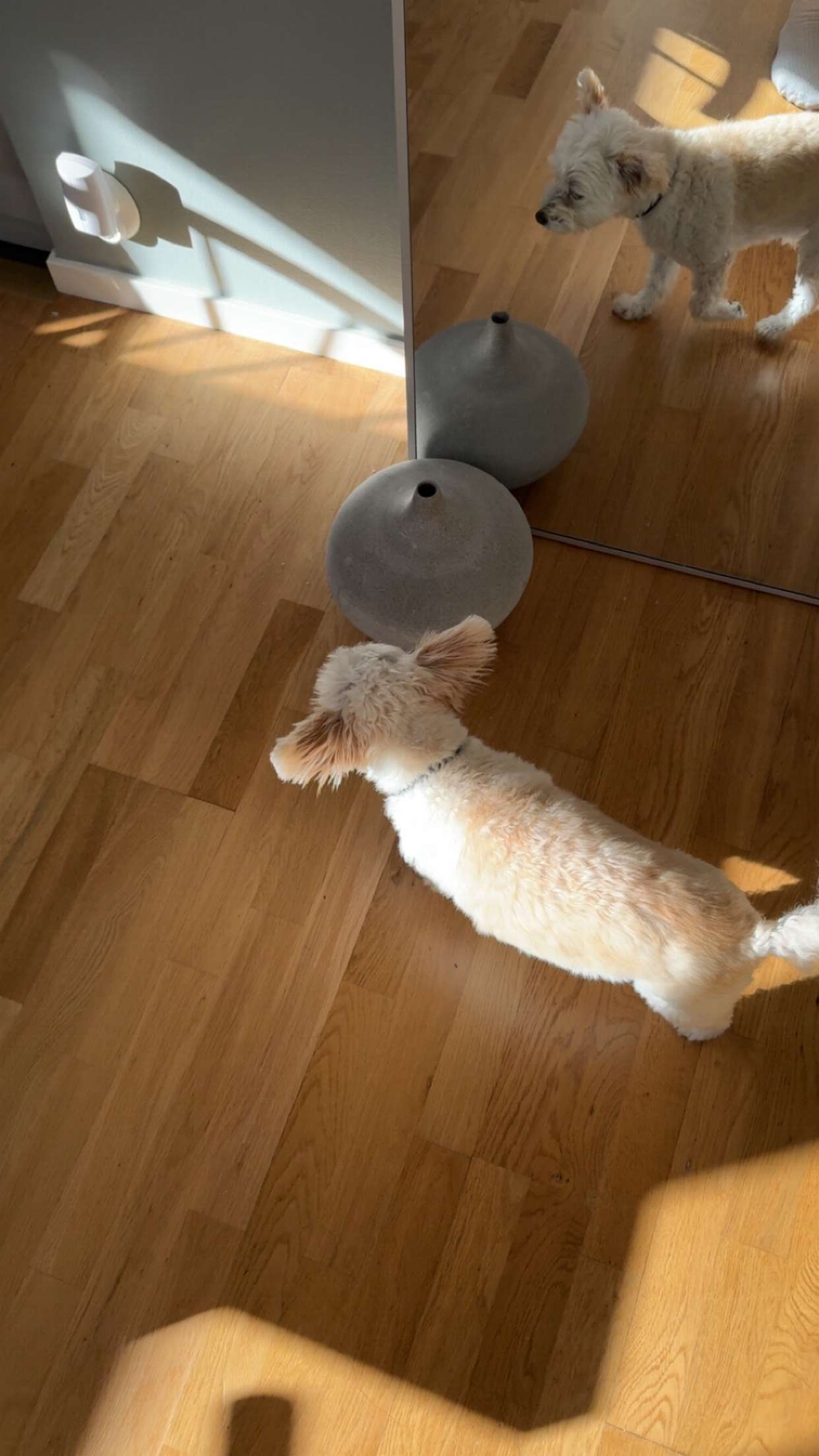 mathilda_bergs snapchat image archive image