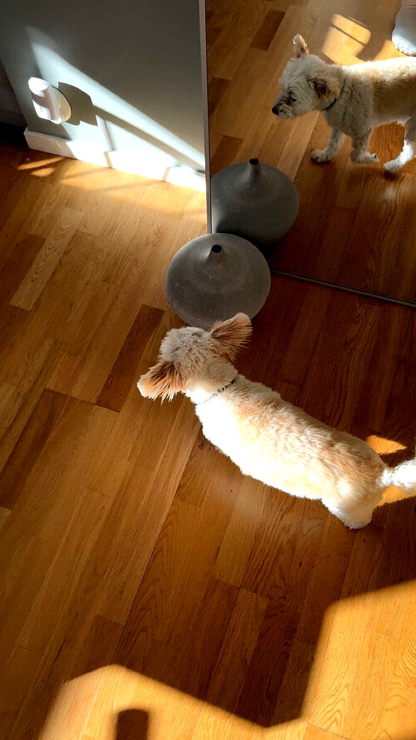 mathilda_bergs image ~ Altpins