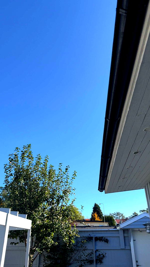 mathilda_bergs image ~ Altpins