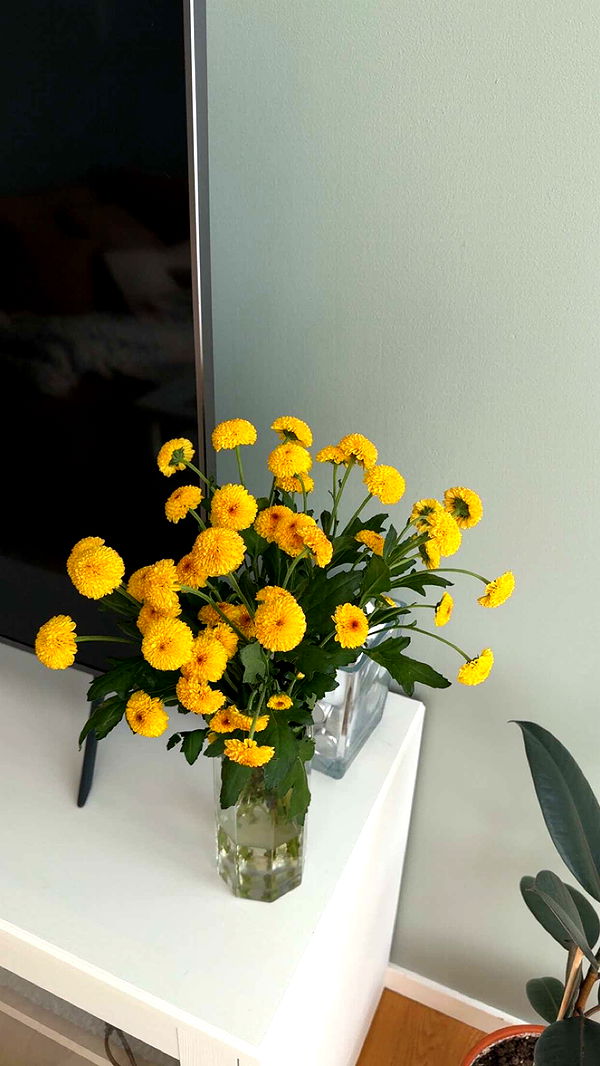 mathilda_bergs image ~ Altpins