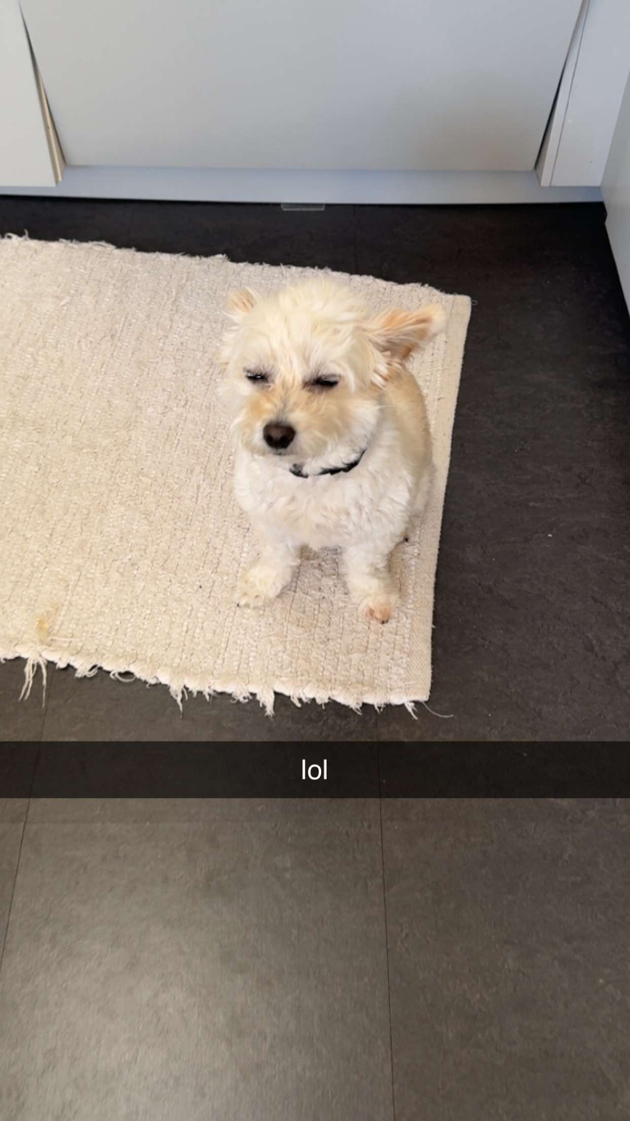 mathilda_bergs snapchat image archive image