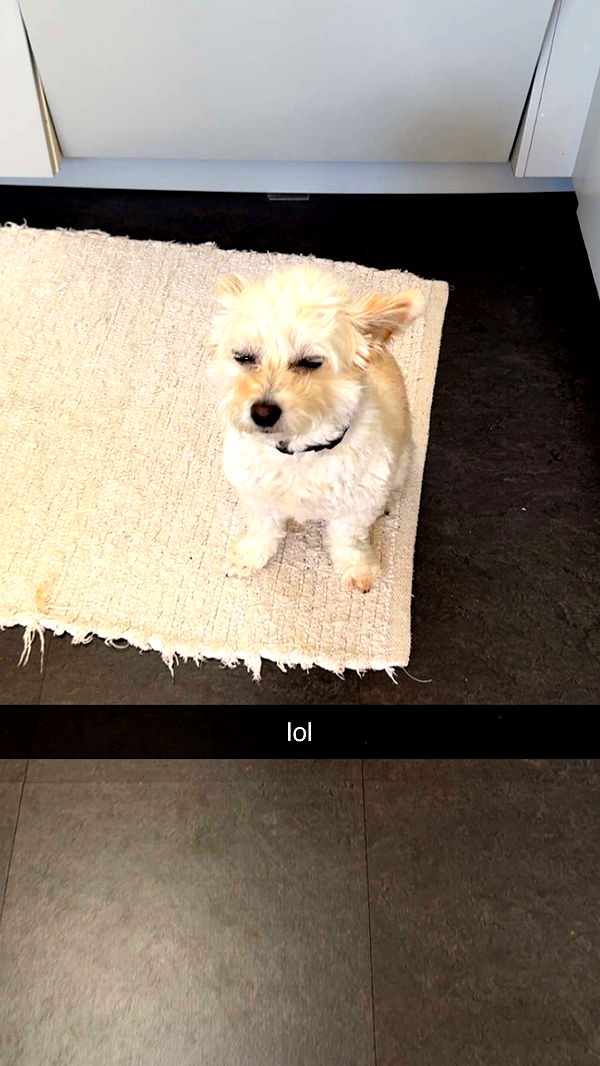 mathilda_bergs image ~ Altpins