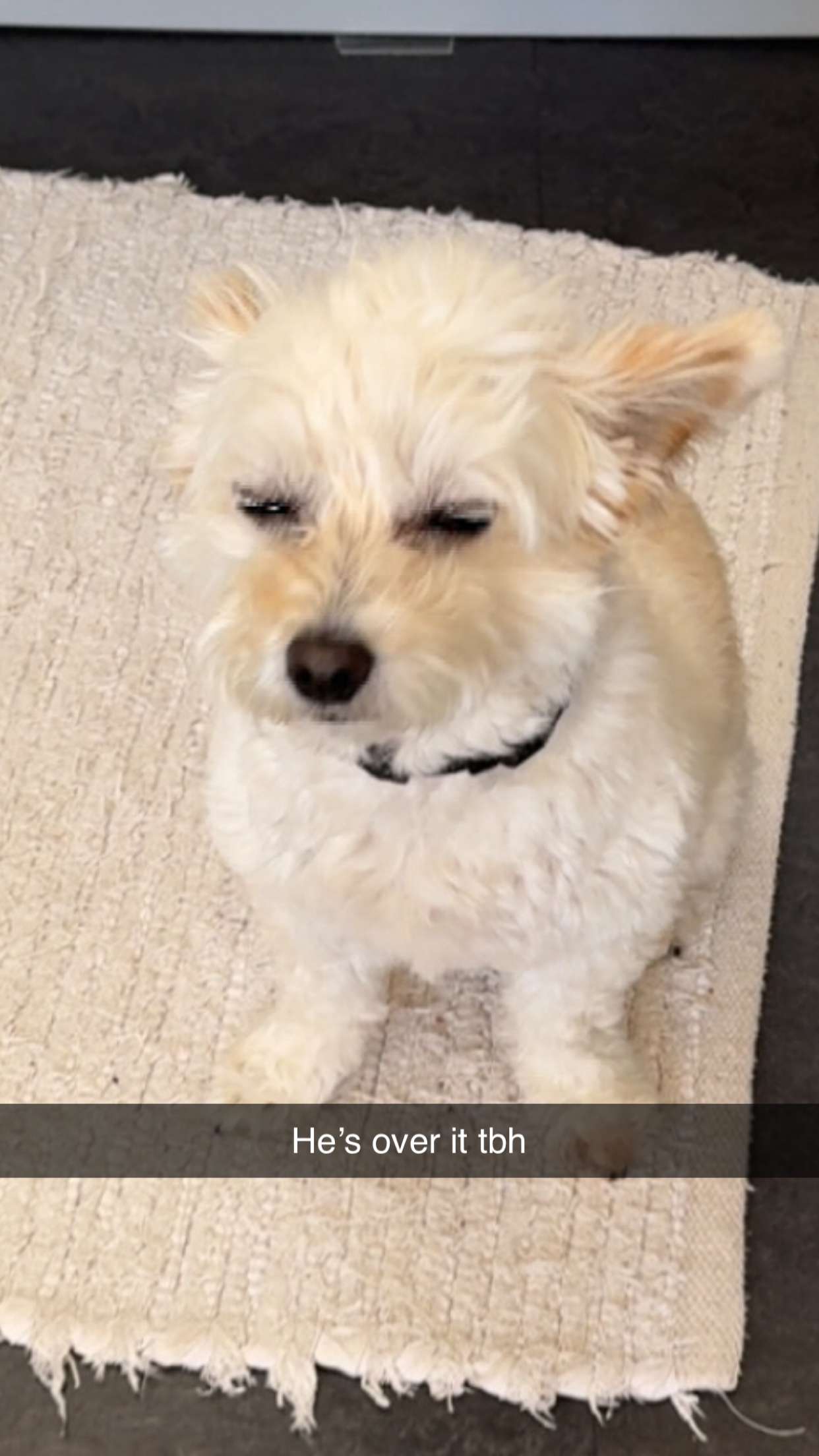 mathilda_bergs snapchat image archive image