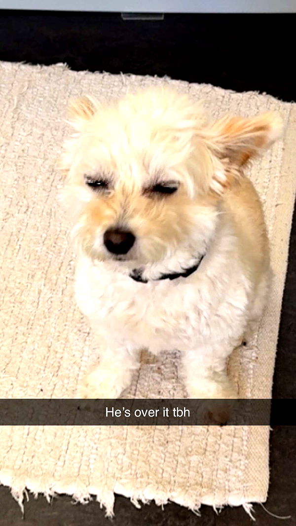 mathilda_bergs image ~ Altpins