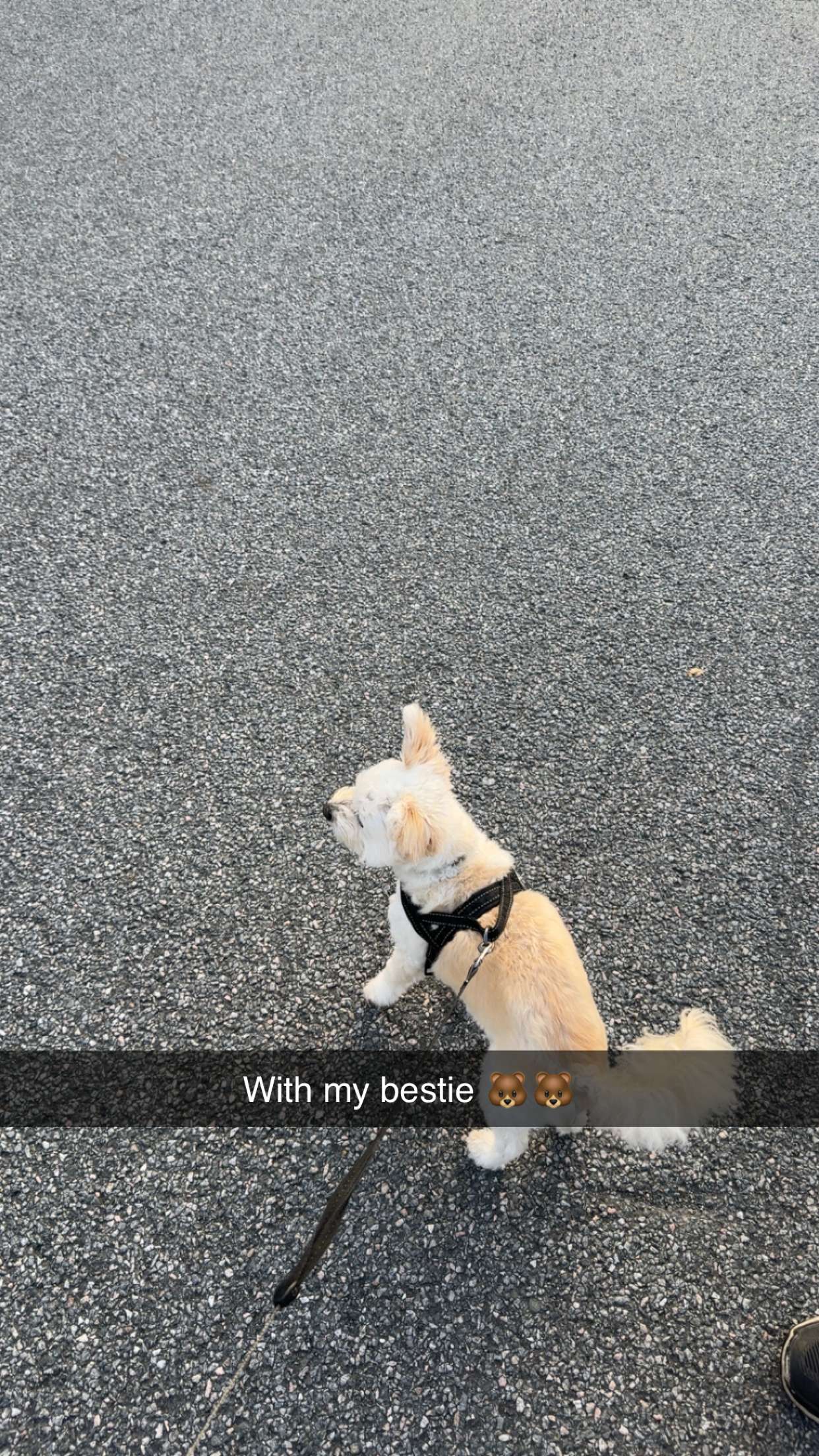 mathilda_bergs snapchat image archive image