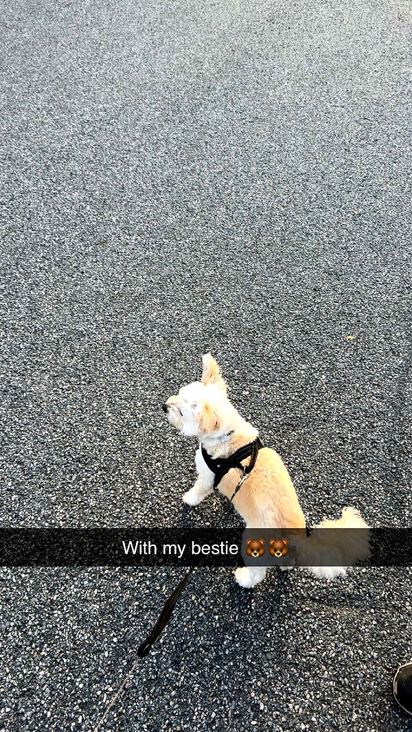 mathilda_bergs image ~ Altpins