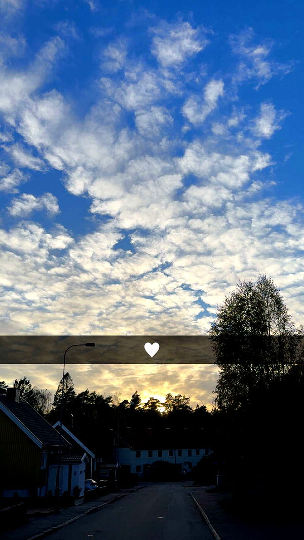 mathilda_bergs image ~ Altpins