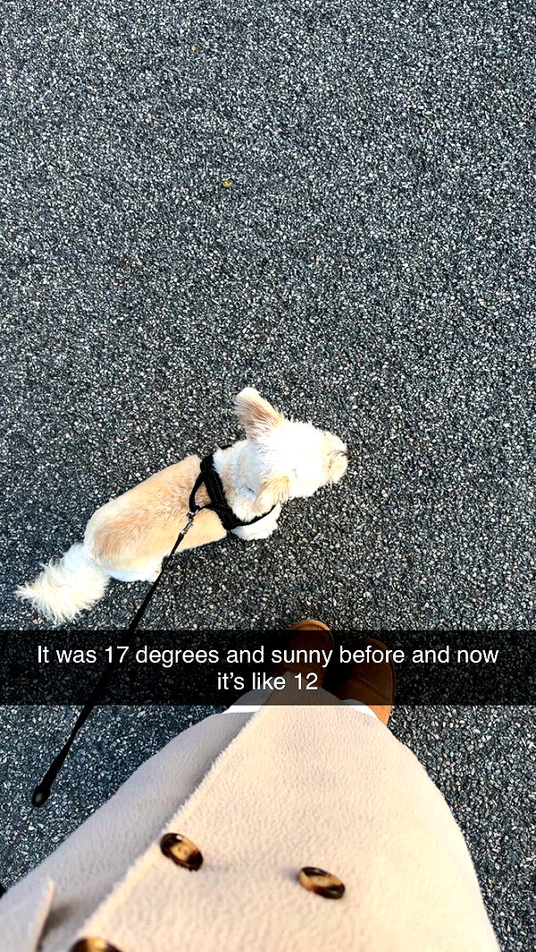 mathilda_bergs image ~ Altpins