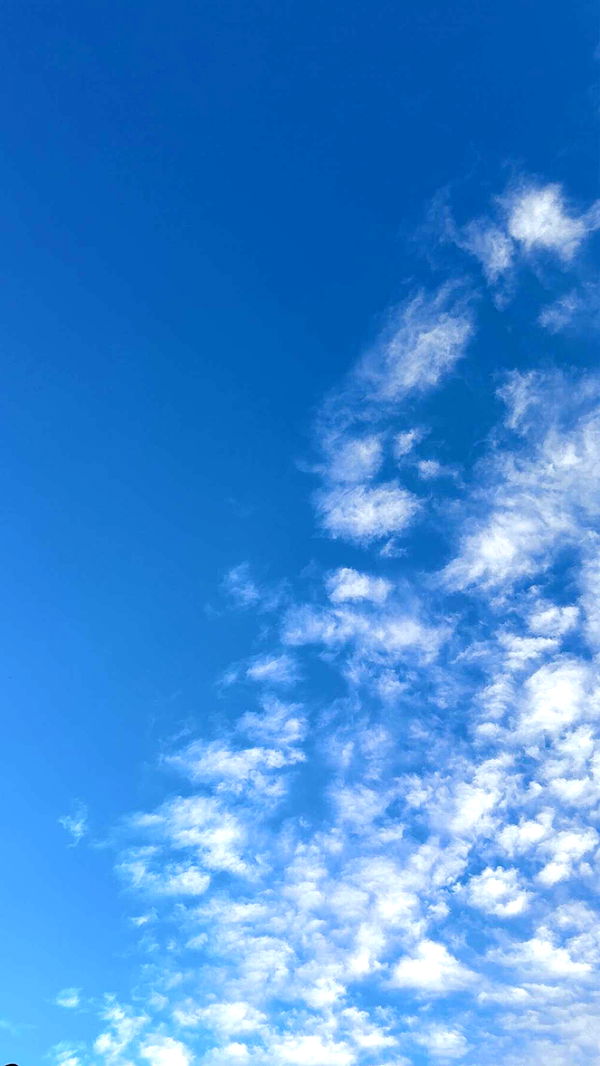 mathilda_bergs image ~ Altpins