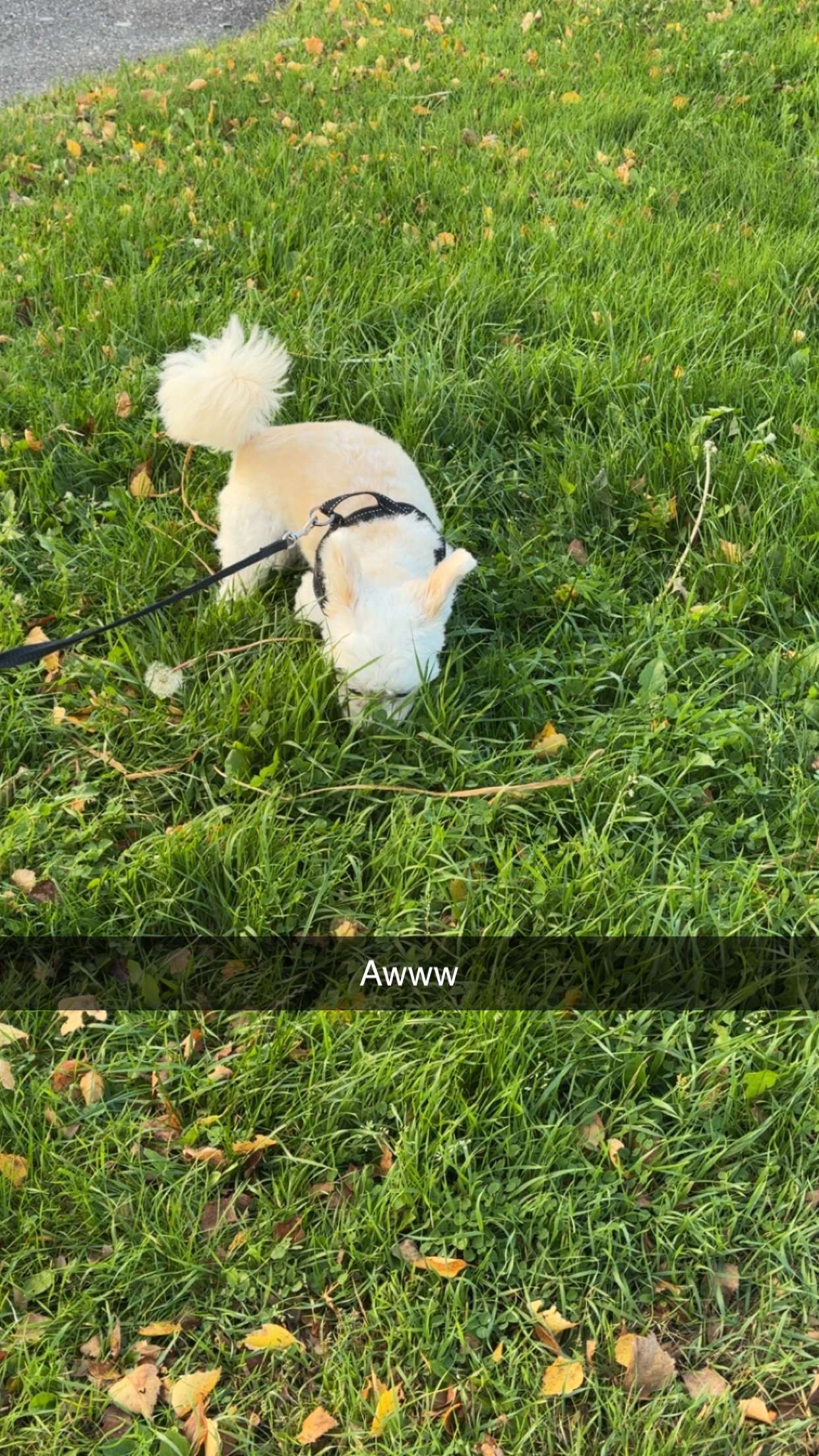 mathilda_bergs snapchat image archive image