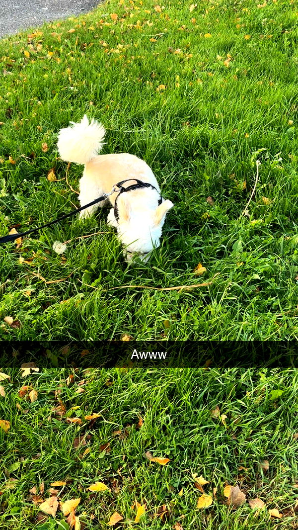 mathilda_bergs image ~ Altpins