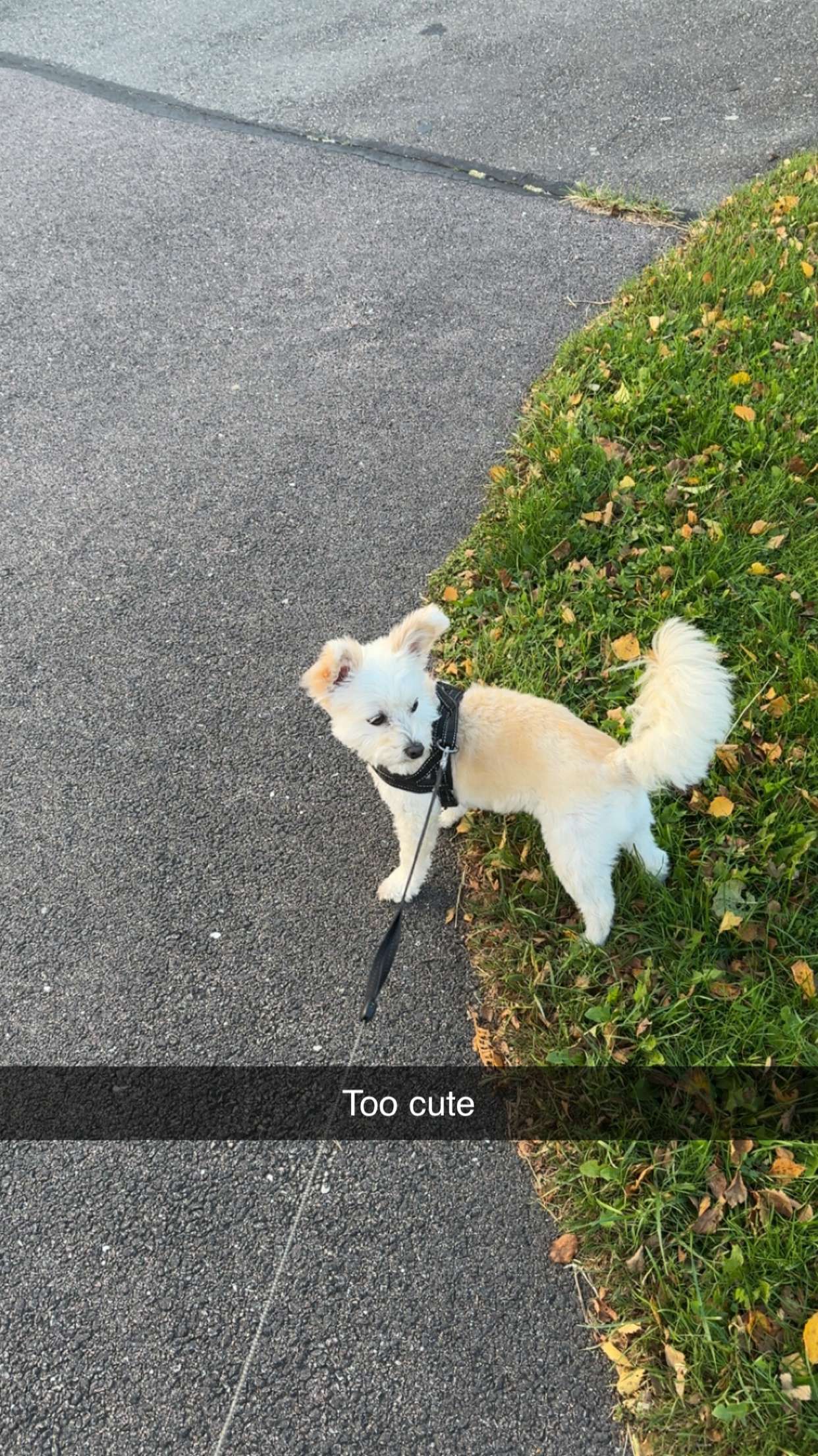 mathilda_bergs snapchat image archive image