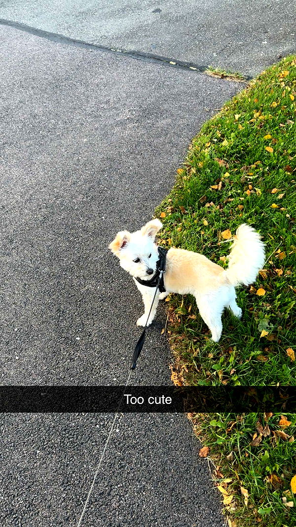 mathilda_bergs image ~ Altpins