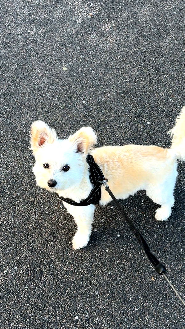 mathilda_bergs image ~ Altpins