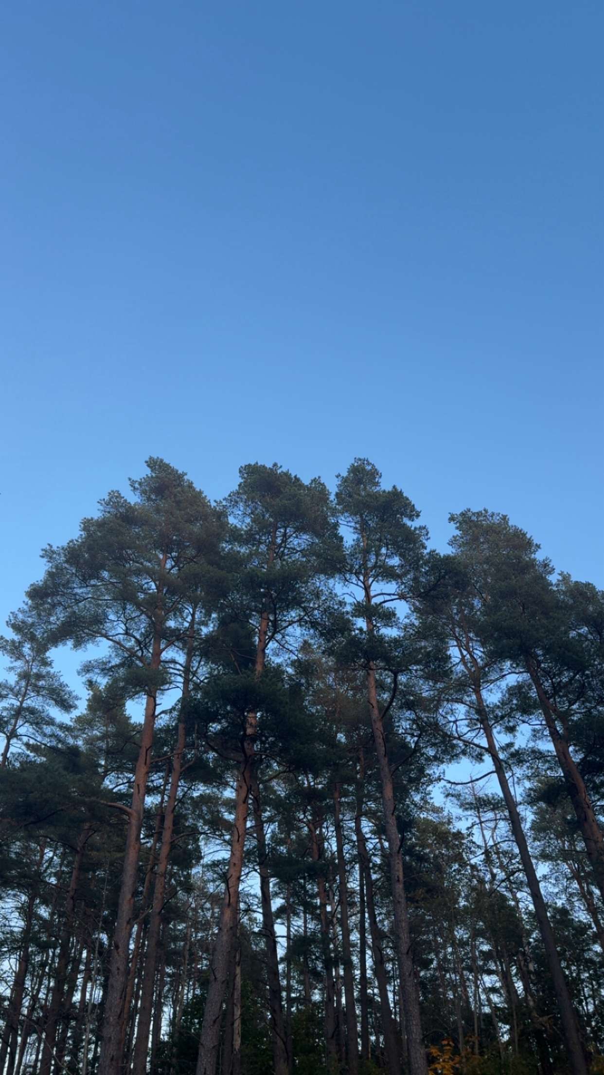 mathilda_bergs snapchat image archive image