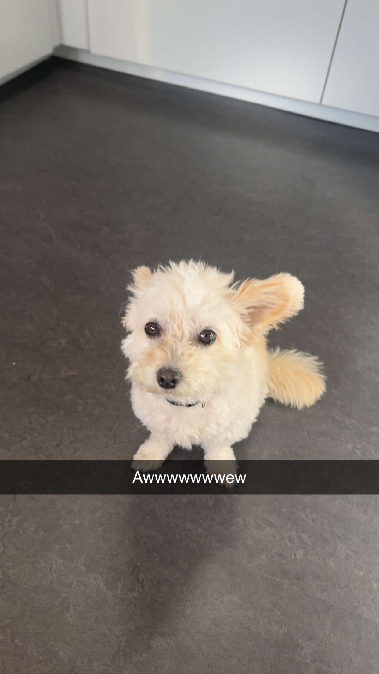 mathilda_bergs snapchat image archive image