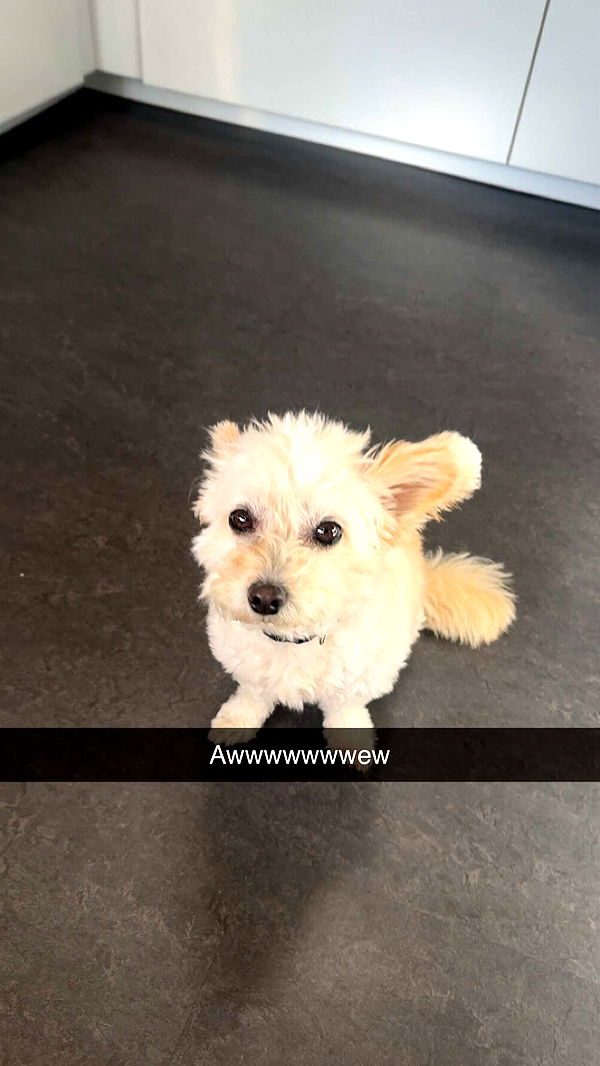 mathilda_bergs image ~ Altpins