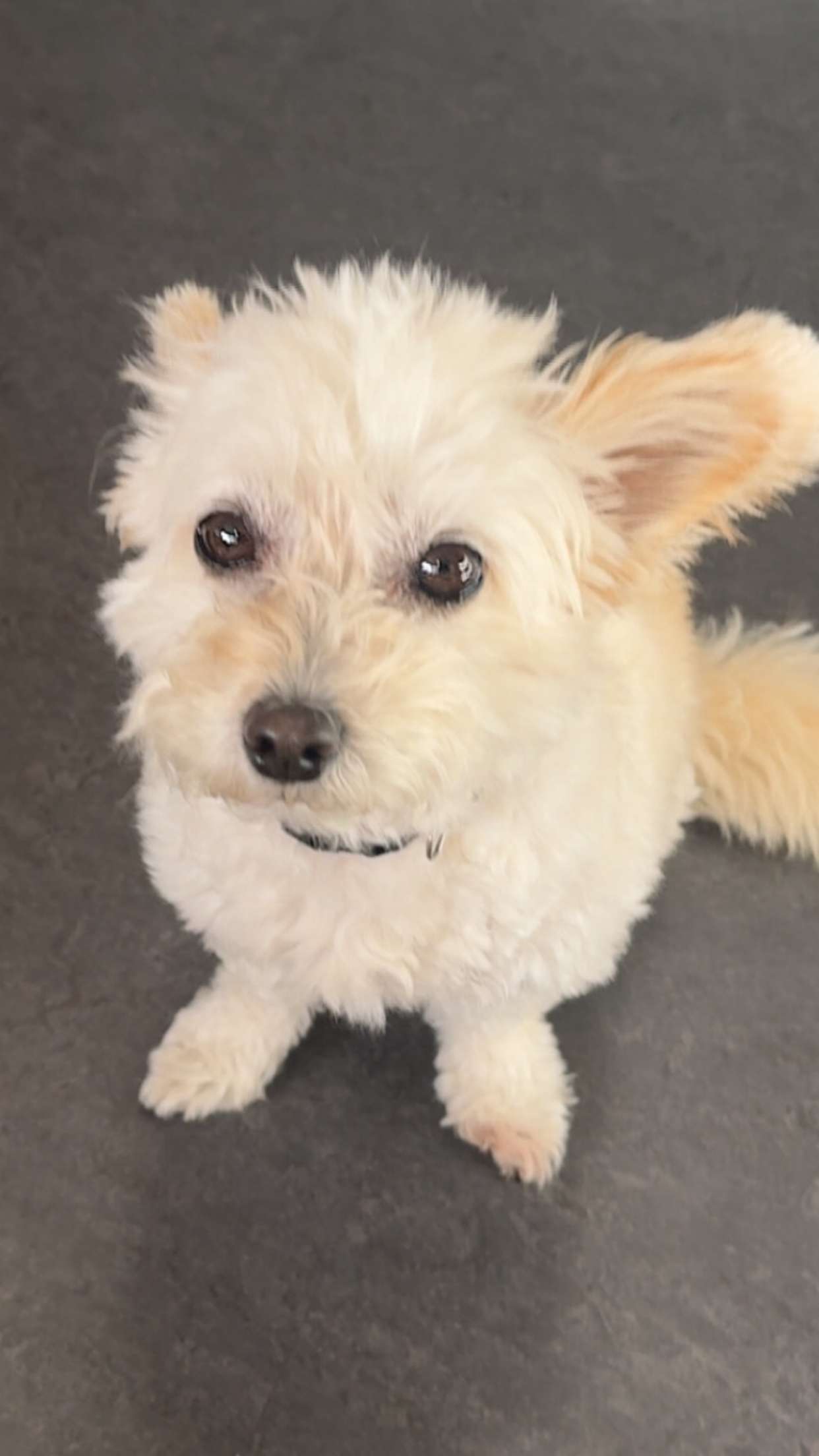 mathilda_bergs snapchat image archive image