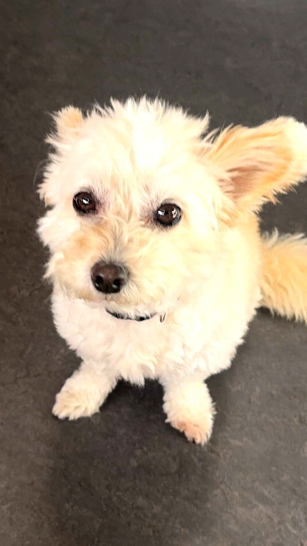 mathilda_bergs image ~ Altpins