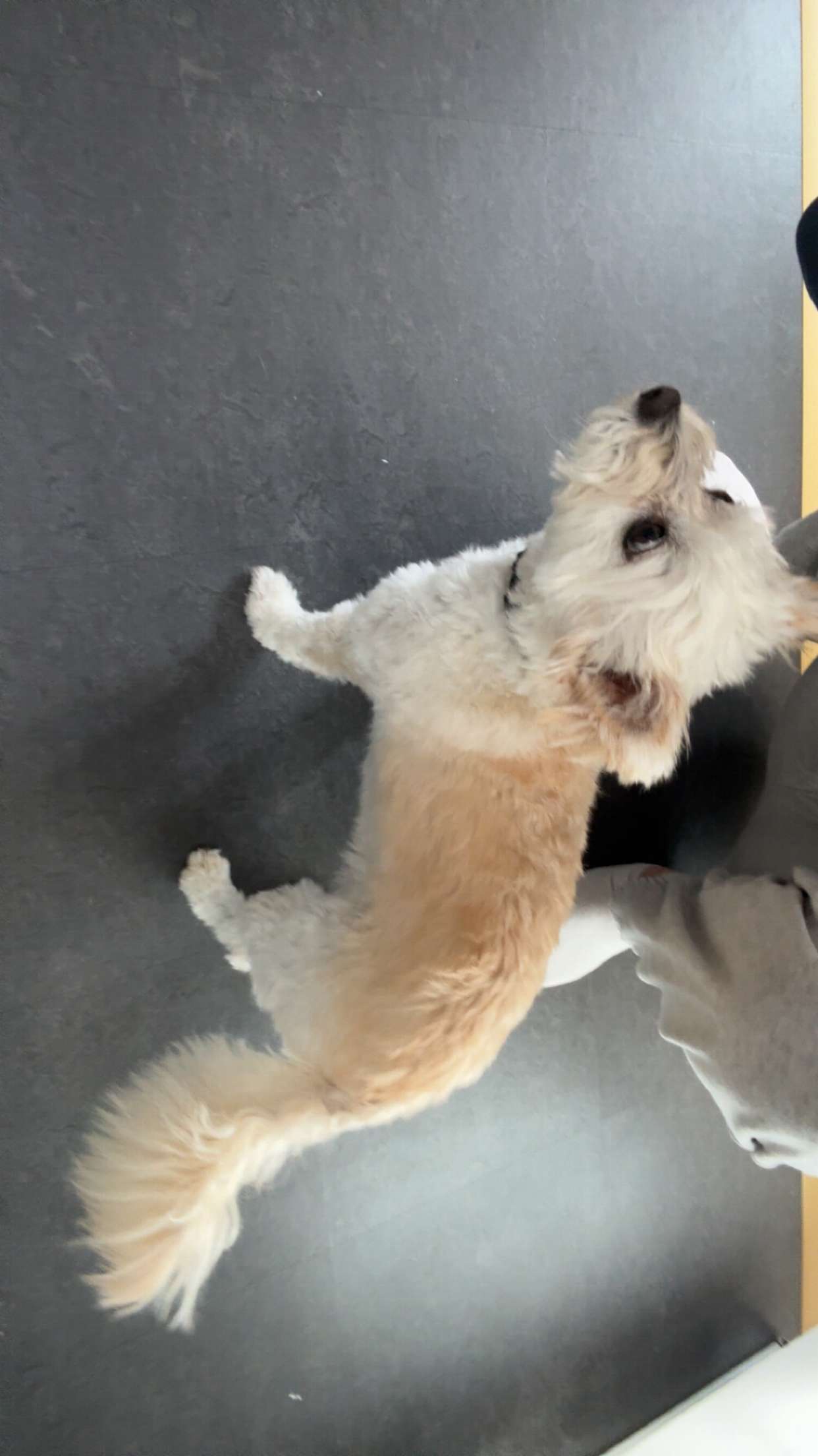 mathilda_bergs snapchat image archive image