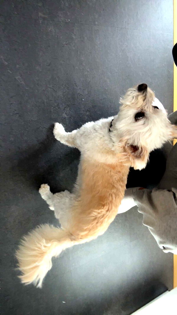 mathilda_bergs image ~ Altpins