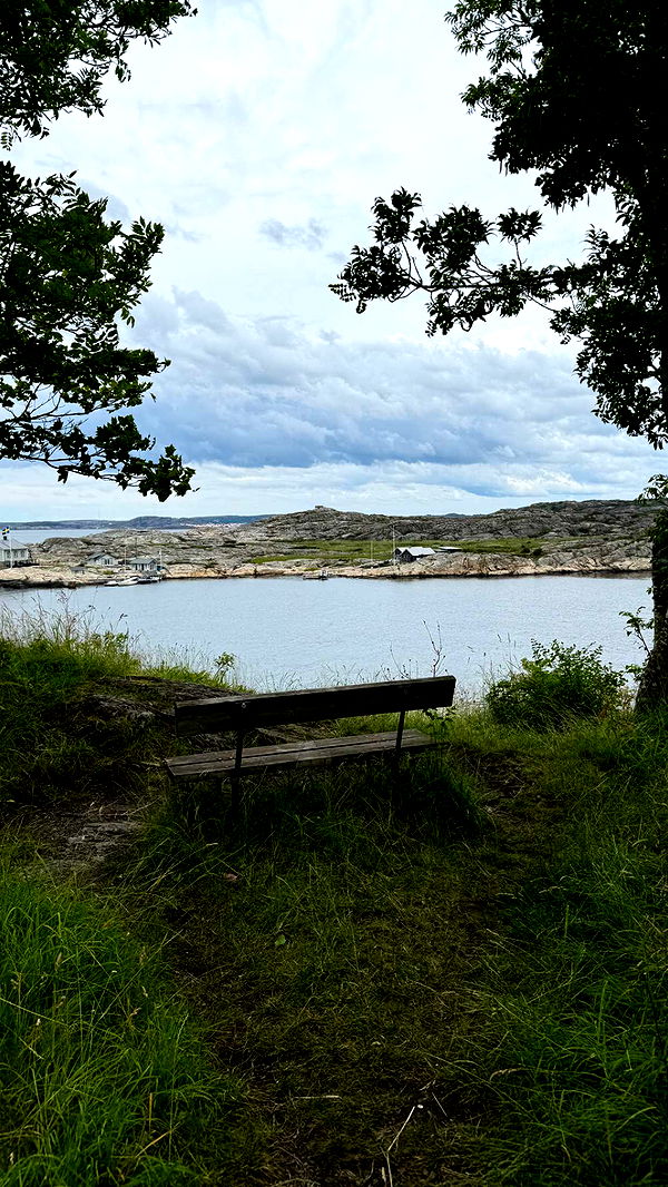 mathilda_bergs image ~ Altpins