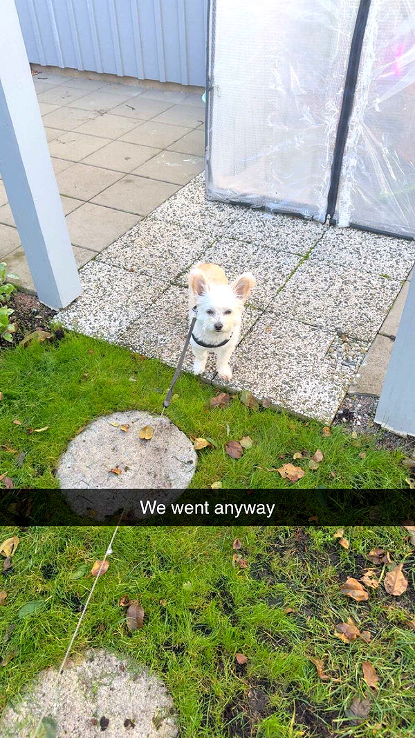 mathilda_bergs image ~ Altpins