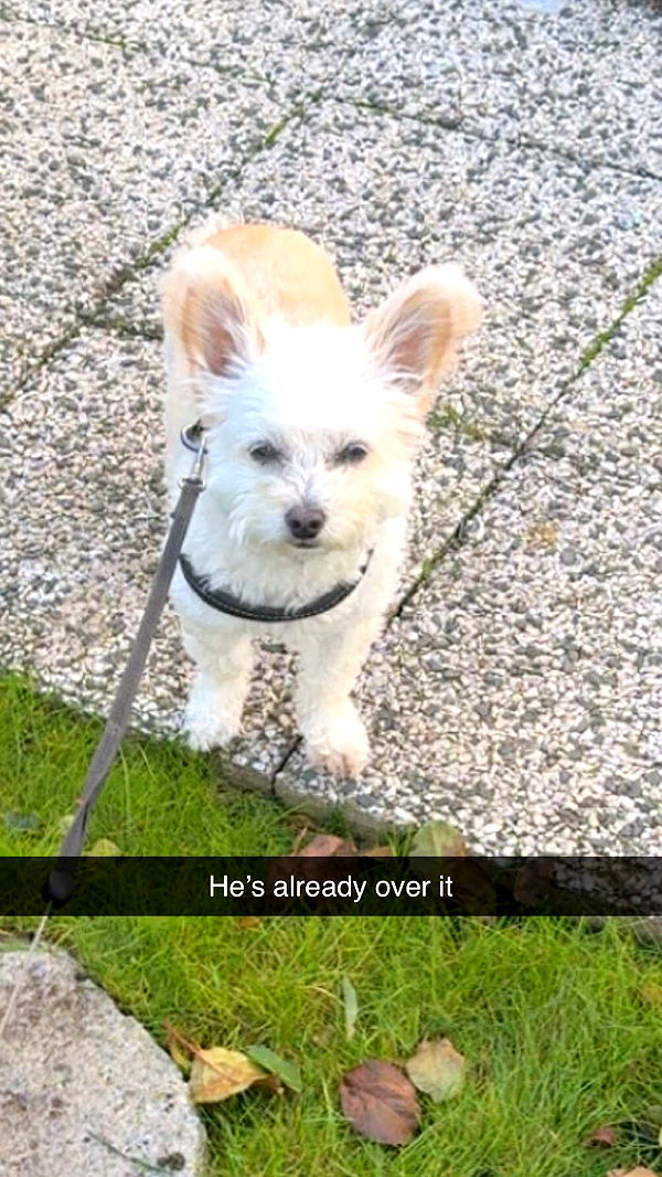 mathilda_bergs image ~ Altpins