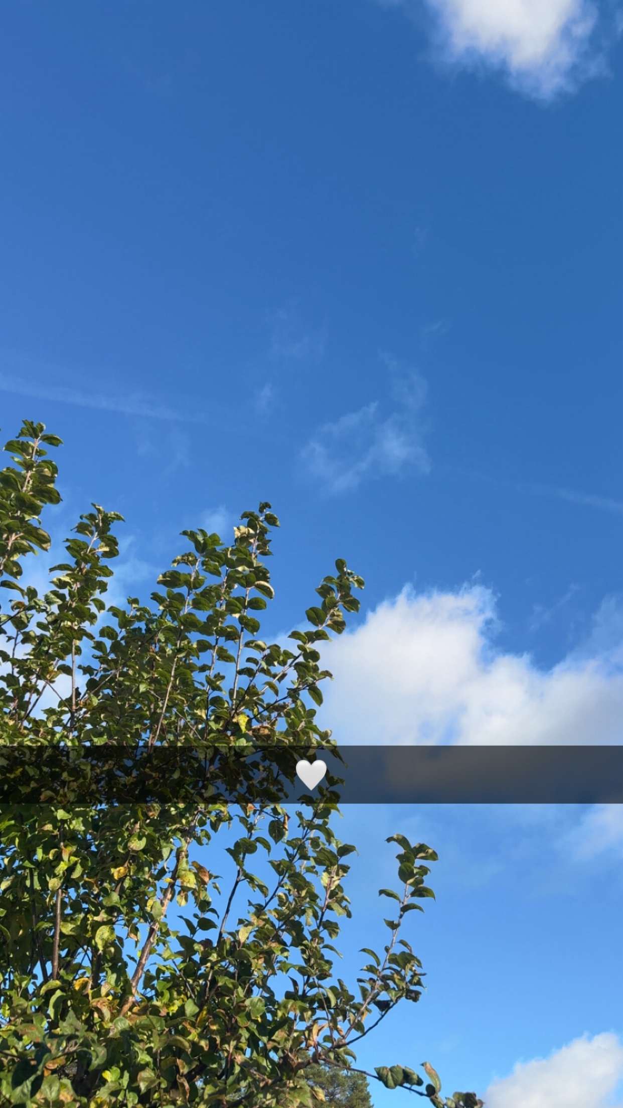 mathilda_bergs snapchat image archive image