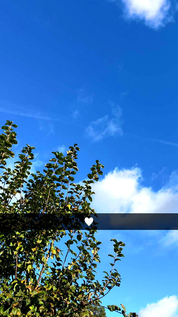 mathilda_bergs image ~ Altpins