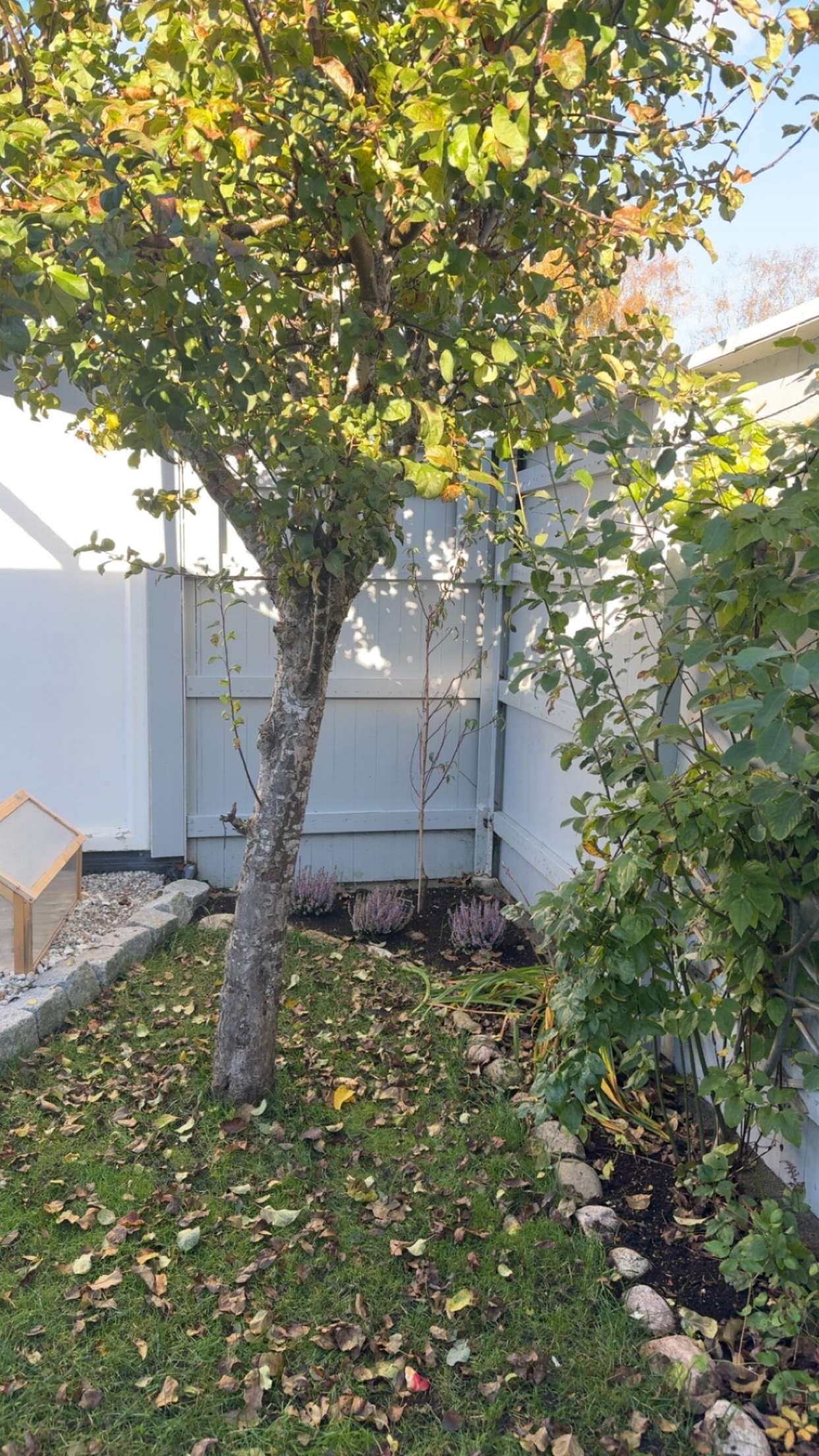 mathilda_bergs snapchat image archive image