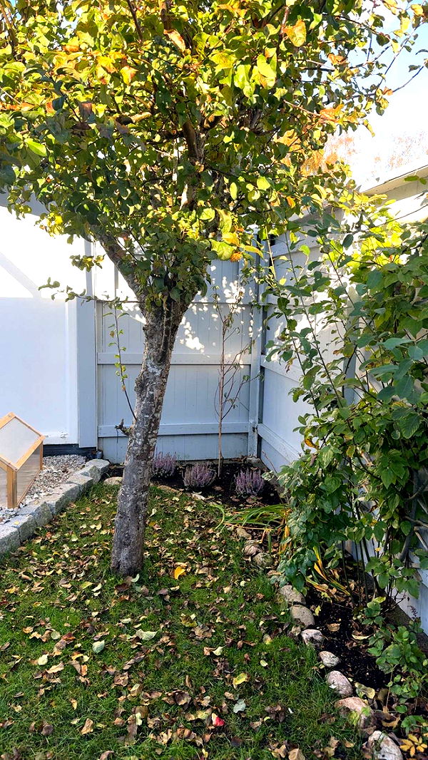 mathilda_bergs image ~ Altpins