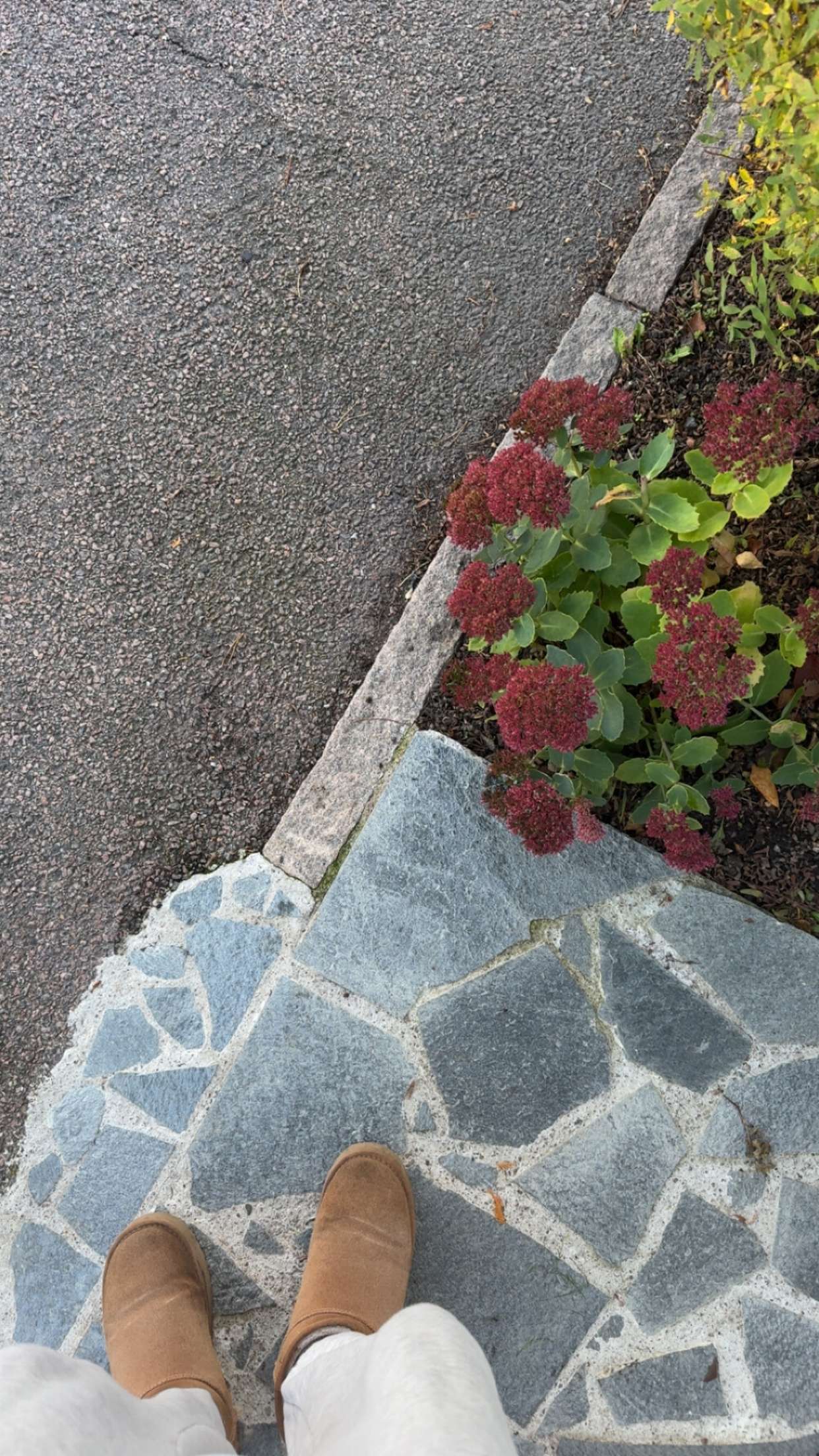 mathilda_bergs snapchat image archive image