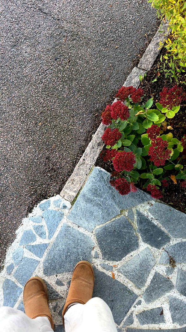 mathilda_bergs image ~ Altpins