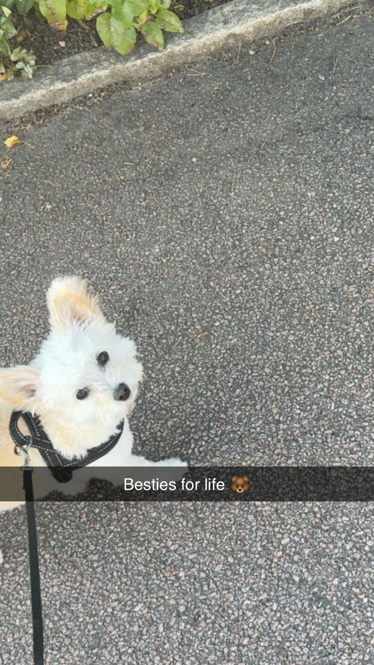 mathilda_bergs snapchat image archive image