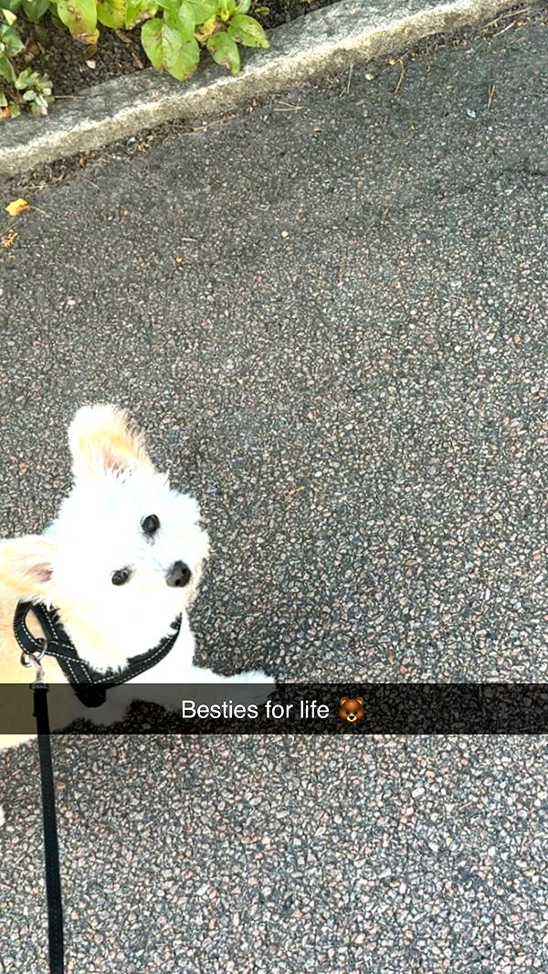 mathilda_bergs image ~ Altpins