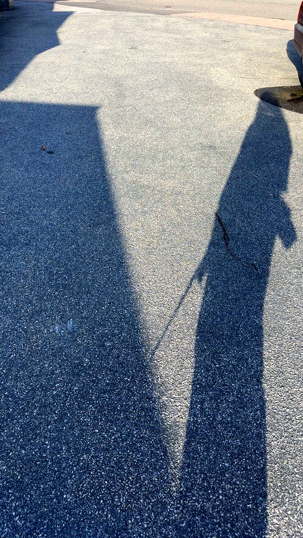 mathilda_bergs image ~ Altpins