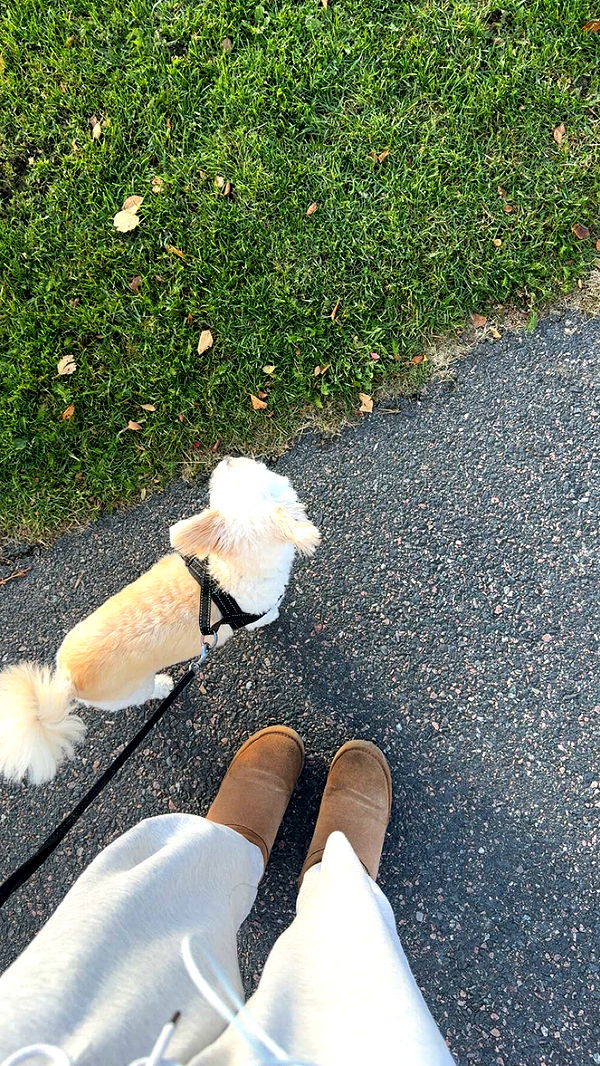 mathilda_bergs image ~ Altpins