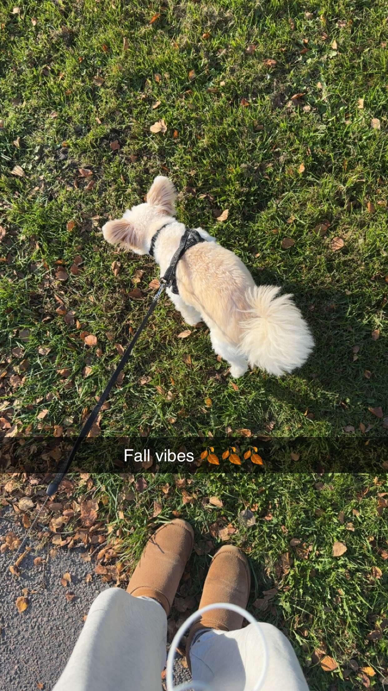 mathilda_bergs snapchat image archive image