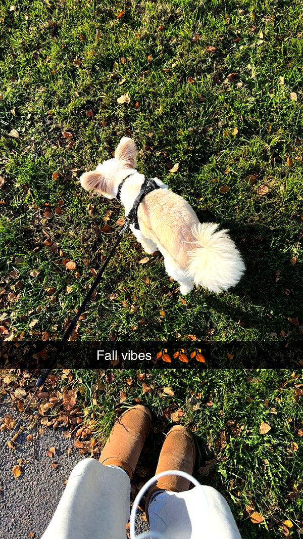 mathilda_bergs image ~ Altpins