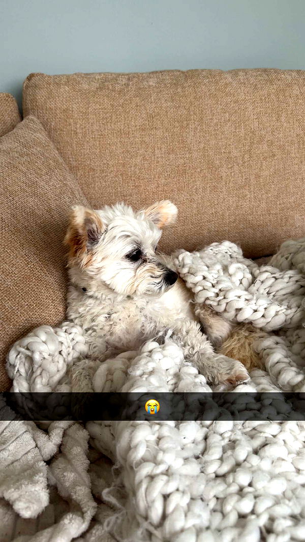 mathilda_bergs image ~ Altpins