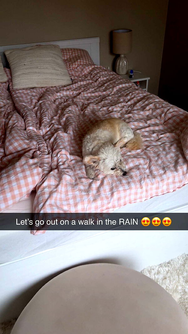 mathilda_bergs image ~ Altpins