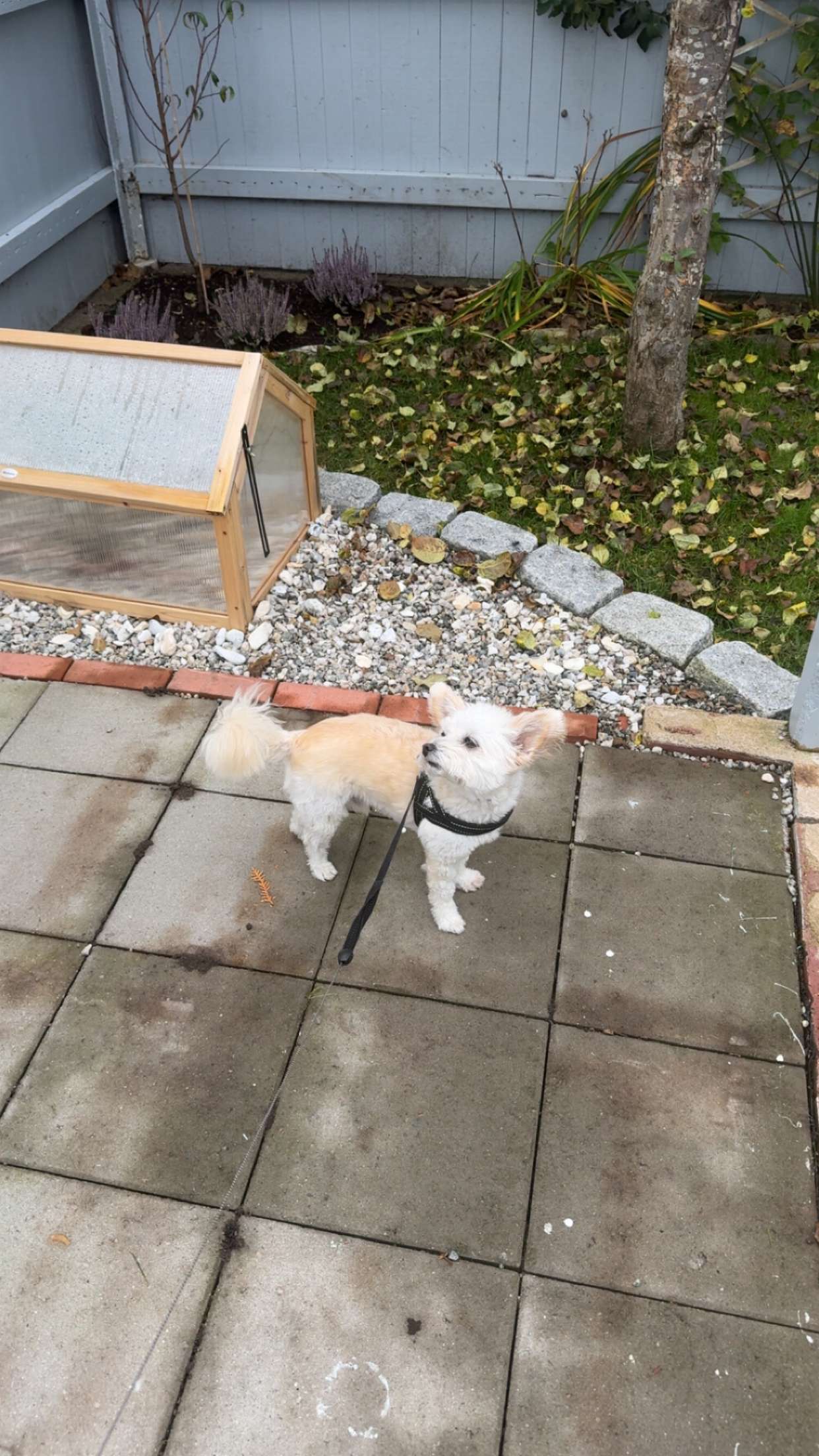 mathilda_bergs snapchat image archive image