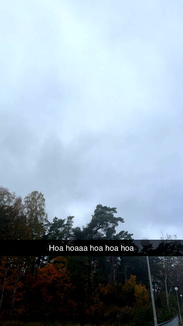 mathilda_bergs image ~ Altpins