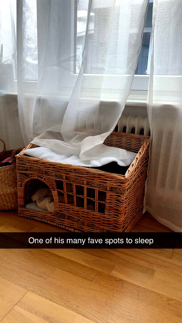 mathilda_bergs image ~ Altpins